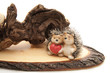 Igel mit Herz vor Wurzel Igel mit Herz vor Wurzel