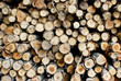 pile of wood in logs storage