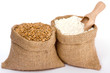 Flour and wheat