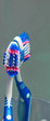 toothbrush