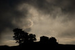 colline marchigiane al tramonto