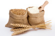 Wheat and flour