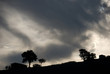 colline marchigiane al tramonto