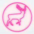 Neon pink Hirsch