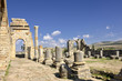 The Basilica at the ruined roman city of Volubilis