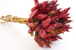 Hot pepper