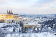 First Snow in Prague, gothic Castle with snowy Trees First Snow in Prague, gothic Castle with snowy Trees
