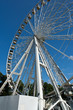 The Windsor Eye