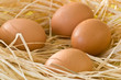 oeufs