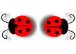  Insects..