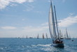 classic yacht regatta