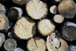 closeup of firewood stacked
