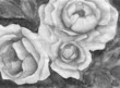 grisaille_painting_rose