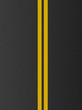 Double yellow lines on asphalt texture Double yellow lines on asphalt texture