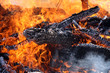 Blackened Logs in Flames Blackened Logs in Flames