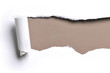 Photo: ripped paper ripped paper