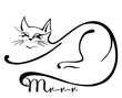 Graceful cat Graceful cat