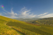 Herbst im Schwarzwald