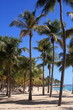 Plage de Sainte Anne Guadeloupe