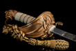 Naval Sword