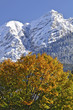 Karwendel Herbst