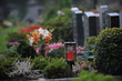 Gräber auf dem Friedhof