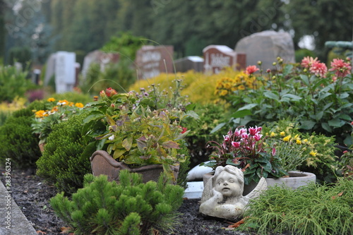 Foto: Gräber auf dem Friedhof Gräber auf dem Friedhof