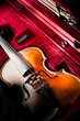 Violon