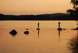 Children fishing rod in the lake at sunset Children fishing rod in the lake at sunset