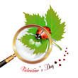 Valentine's day, illustration with hearts