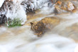 Icy stream