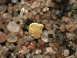 Goldflitter im Flußsand