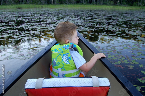 Photo: Searching for Frogs Searching for Frogs