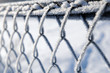 Frost on a fence Frost on a fence