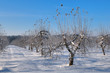 Beautiful winter landscape Beautiful winter landscape