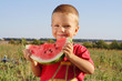 Foto: Smiling little boy eating watermelon on field Smiling little boy eating watermelon on field