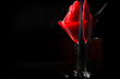Red coctail design