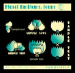 gallerie flowers vectors, emblems, icons on dark background
