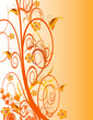 abstract flower Illustration vector spring summer orange