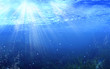 ocean