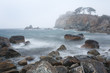 cold sea in the fog