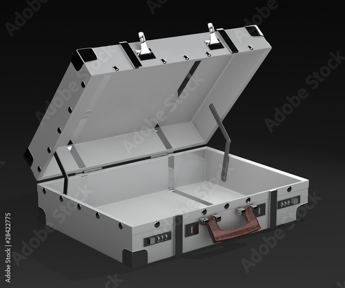 Illustration: Suitecase Suitecase