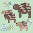 Turtles walk in the field with colors