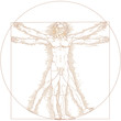 Vector Vitruvian man