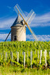 vineyards with windmill near Chénas, Beaujolais, Burgundy, Franc
