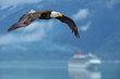 american bald eagle superimposed over alaska inside passage scen