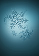 snowflake