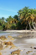 Accès barrière de corail, petites Antilles
