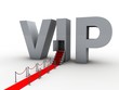 VIP_red carpet