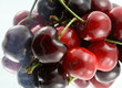 cerises